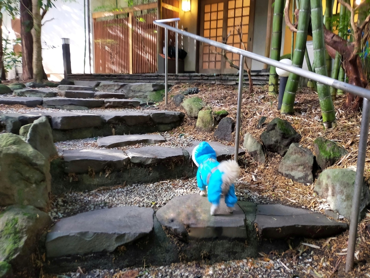 神奈川県 箱根 仙石高原大箱根一の湯 仙石高原 大箱根一の湯 ペット可 シーズー 
