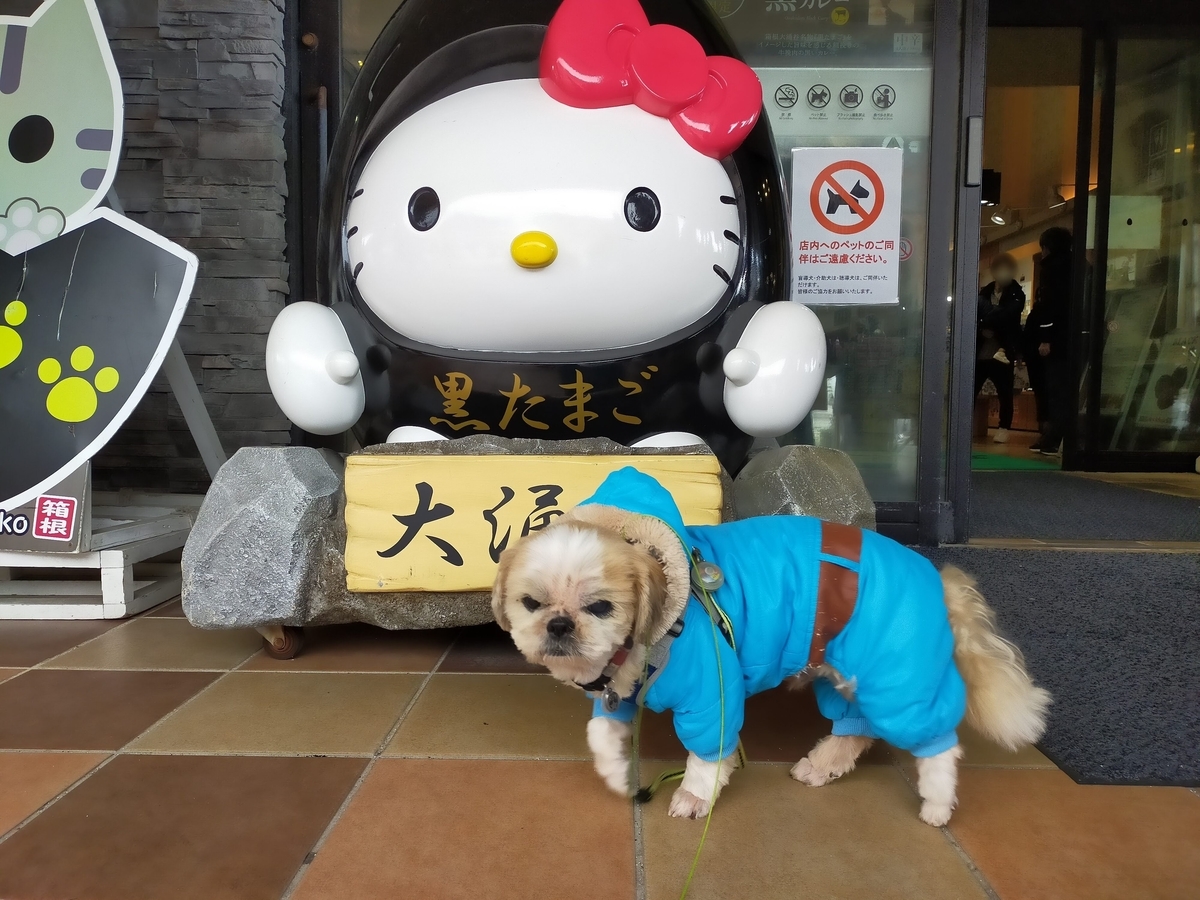箱根 大涌谷 大涌谷くろたまご館 黒たまご 箱根ロープウェイ シーズー 