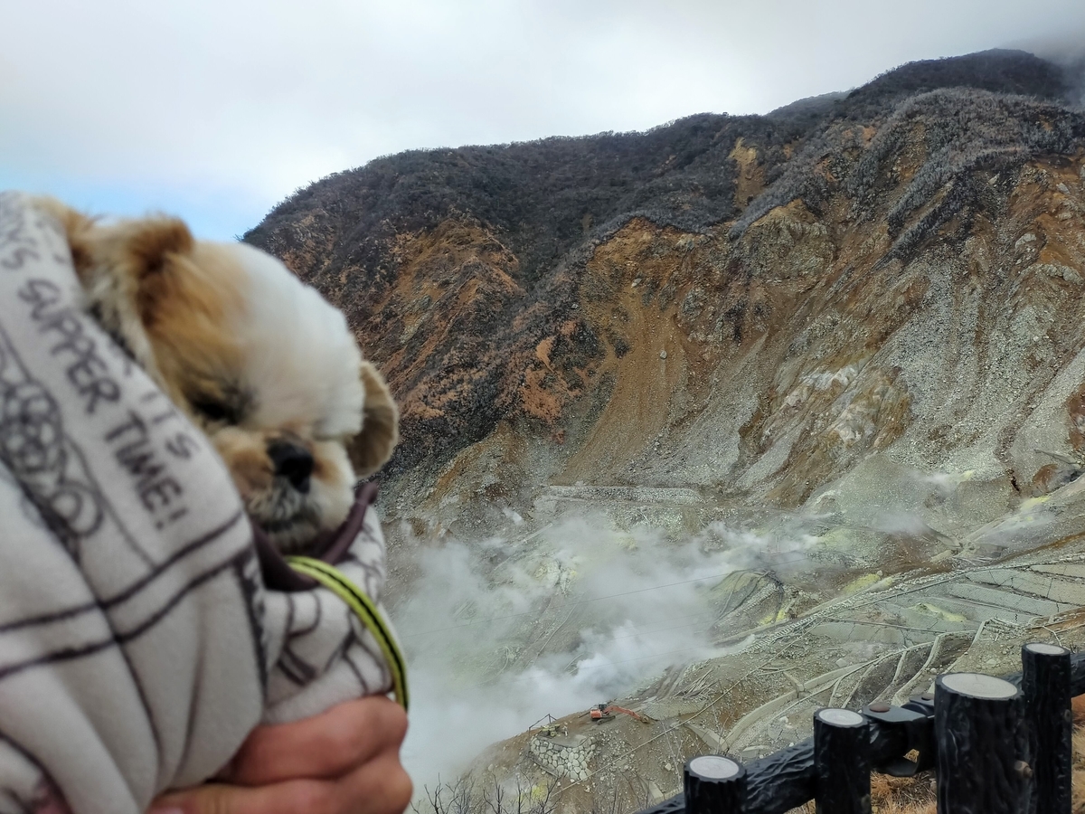箱根 大涌谷 大涌谷くろたまご館 黒たまご 箱根ロープウェイ シーズー 