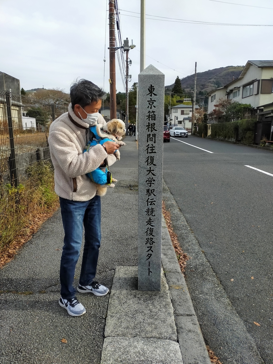 東京箱根間往復大学駅伝競走復路スタート 箱根 芦ノ湖 箱根海賊船 旅行 シーズー 東京箱根間往復大学駅伝競走復路スタート