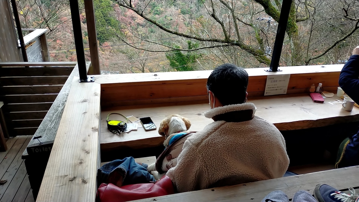 神奈川県 箱根 NARAYACAFE 足湯カフェ ピザ 旅行 シーズー