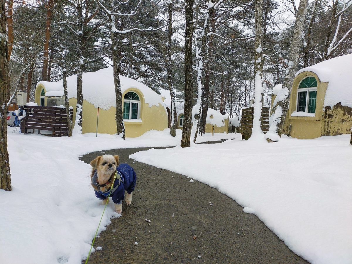 福島県 エンゼルフォレスト那須白河 ドームコテージ シーズー 