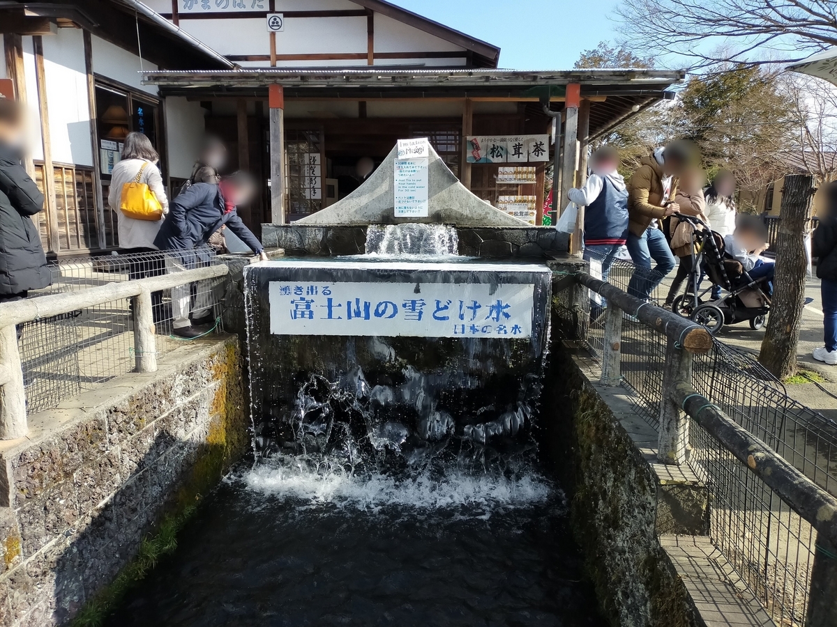 山梨県 忍野村 忍野八海 湧水池 天然記念物 旅行 ペット可 シーズー 
