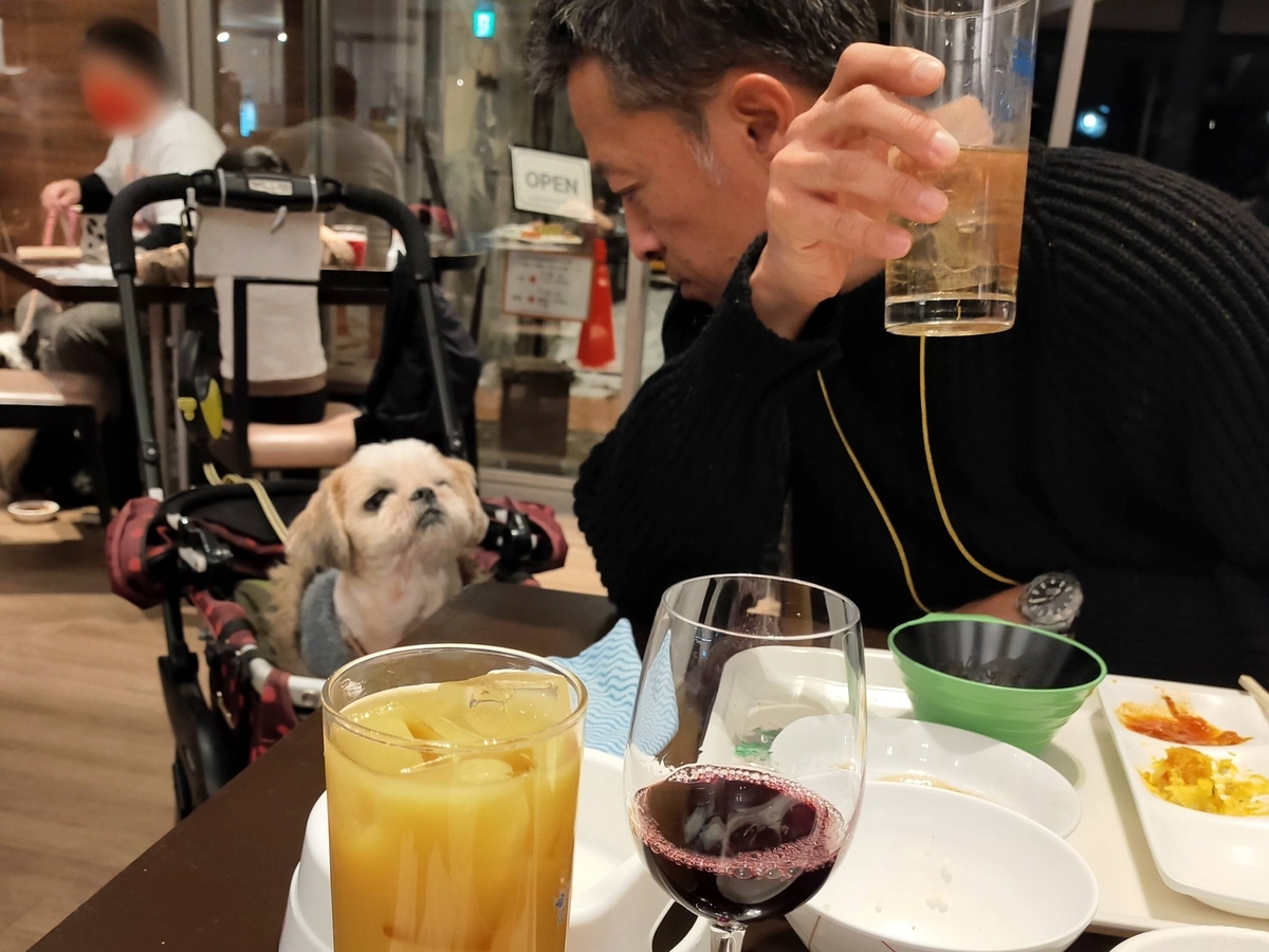 福島県 エンゼルフォレスト那須白河 ドームコテージ シーズー 夕食 バイキング わんちゃんごはん