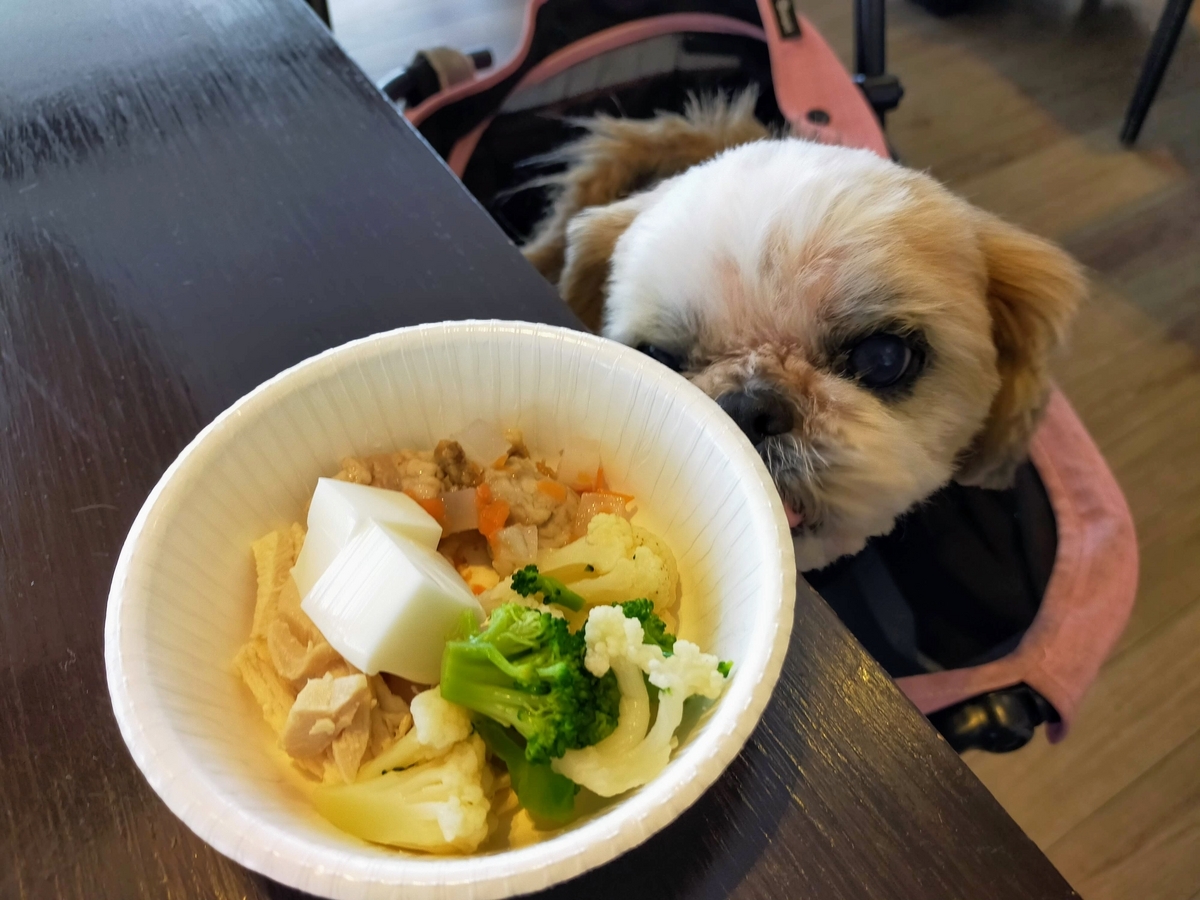 福島県 エンゼルフォレスト那須白河 ドームコテージ シーズー 夕食 朝食 バイキング わんちゃんごはん