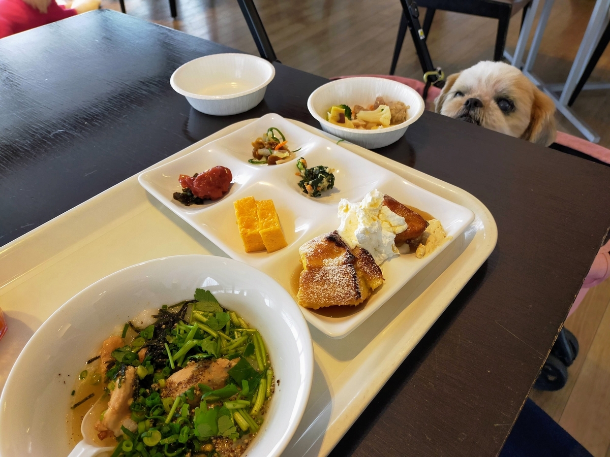 福島県 エンゼルフォレスト那須白河 ドームコテージ シーズー 夕食 朝食 バイキング わんちゃんごはん