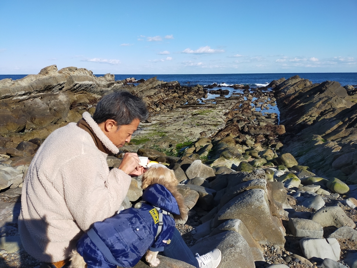 茨城県 くるま旅クラブ 湯YOUパーク いそざき温泉ホテルニュー白亜紀 キャンピングトレーラー シーズー 旅犬 干いもアイス