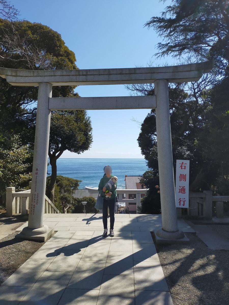 茨城県 酒列磯前神社 大洗磯前神社 神磯鳥居 海が見える鳥居 シーズー 