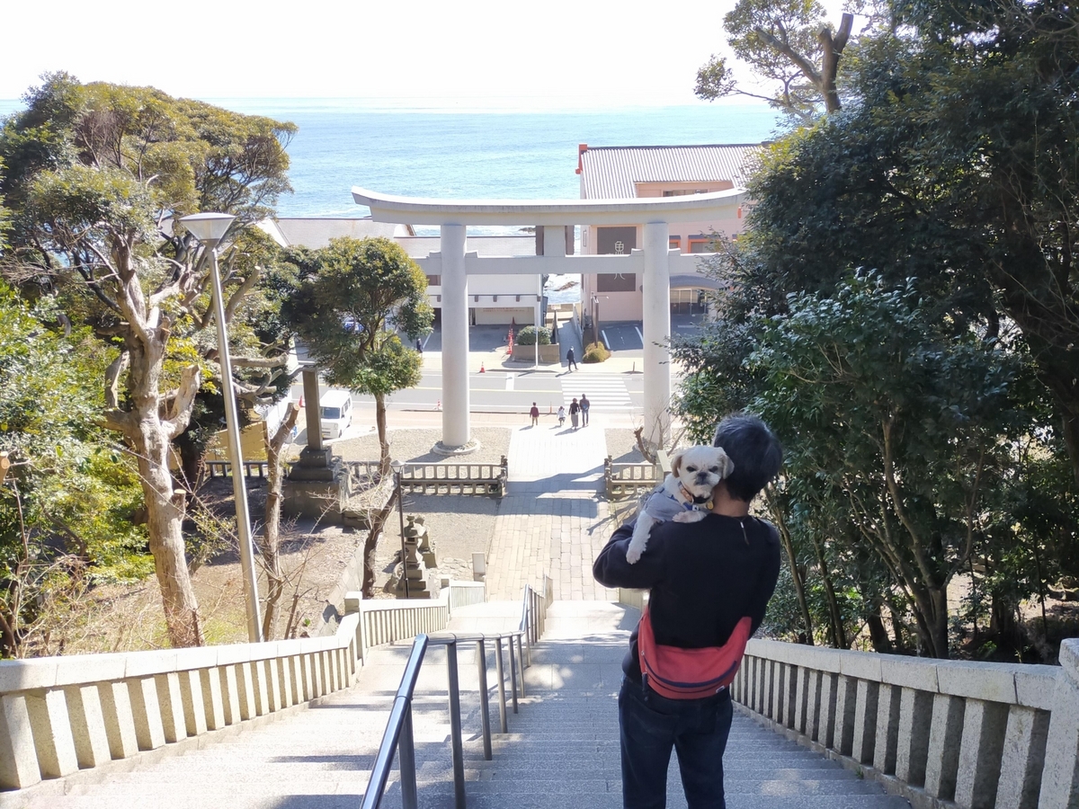 茨城県 酒列磯前神社 大洗磯前神社 神磯鳥居 海が見える鳥居 シーズー 