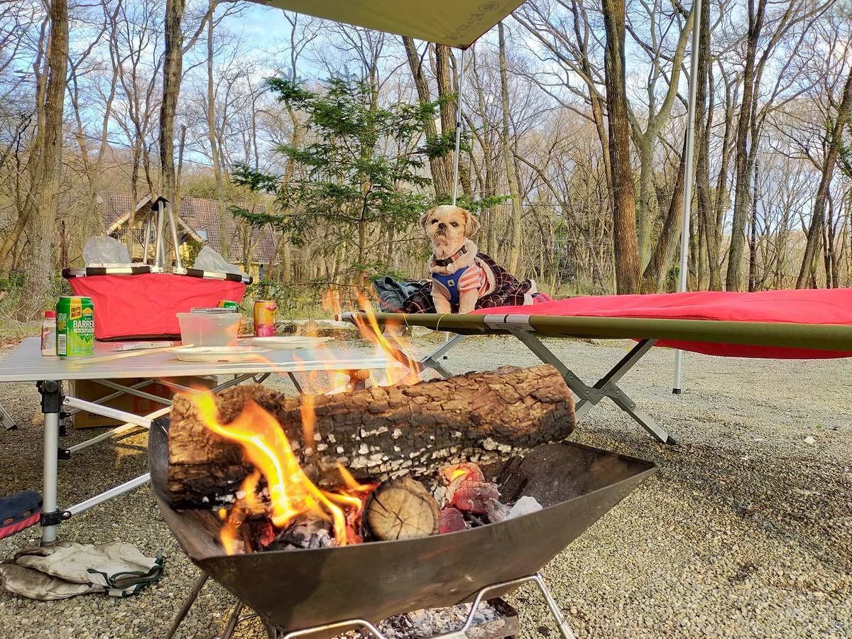 那須町 こっこランド那須FCG キャンプ キャンピングトレーラー シーズー キャンプ犬 焚き火 