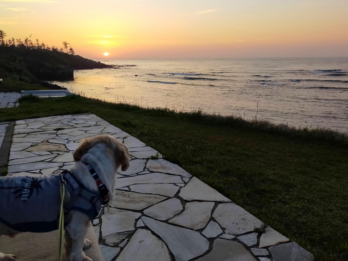 福井県 坂井市 休暇村越前三国オートキャンプ場 福井旅行 キャンプ キャンピングトレーラー ペット可 シーズー 夕日