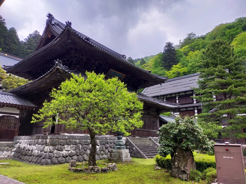 福井県 永平寺町 永平寺 修行 ペットは全身隠れるように 