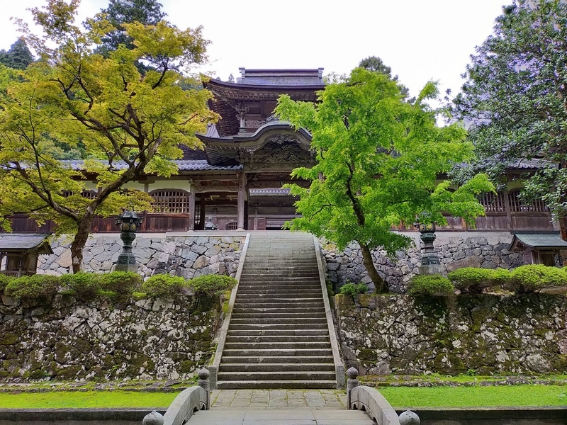福井県 永平寺町 永平寺 修行 ペットは全身隠れるように 