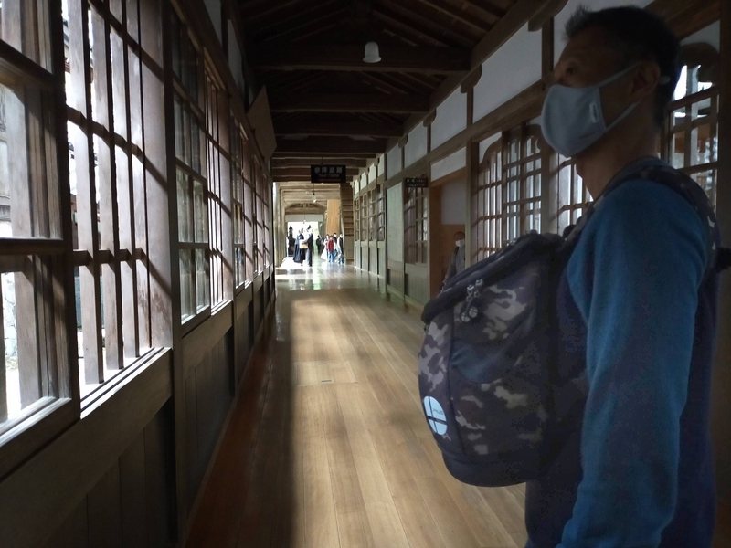 福井県 永平寺町 永平寺 修行 ペットは全身隠れるように 
