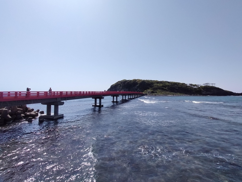 福井県 坂井市 雄島 福井旅行 ペット可 シーズー 大湊神社
