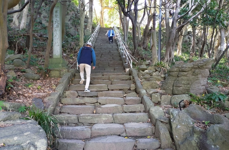 福井県 坂井市 雄島 福井旅行 ペット可 シーズー 大湊神社