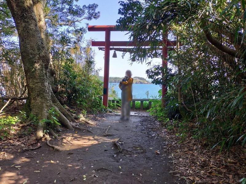 福井県 坂井市 雄島 福井旅行 ペット可 シーズー 大湊神社 東尋坊
