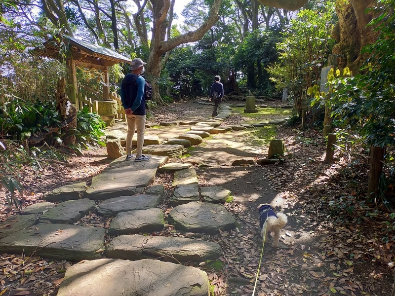 福井県 坂井市 雄島 福井旅行 ペット可 シーズー 大湊神社