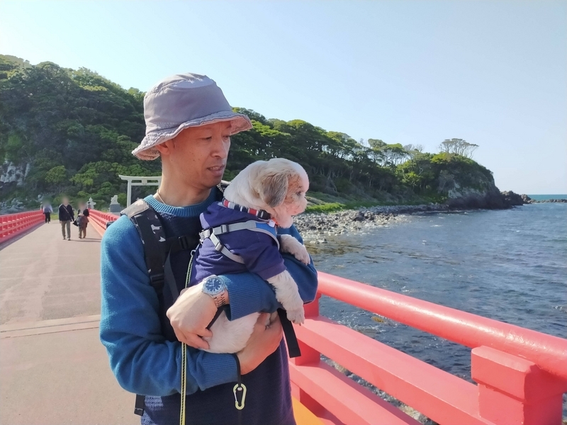 福井県 坂井市 雄島 福井旅行 ペット可 シーズー 大湊神社 東尋坊