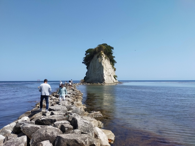 石川県 珠洲市 見附島 軍艦島 ペット可 シーズー 