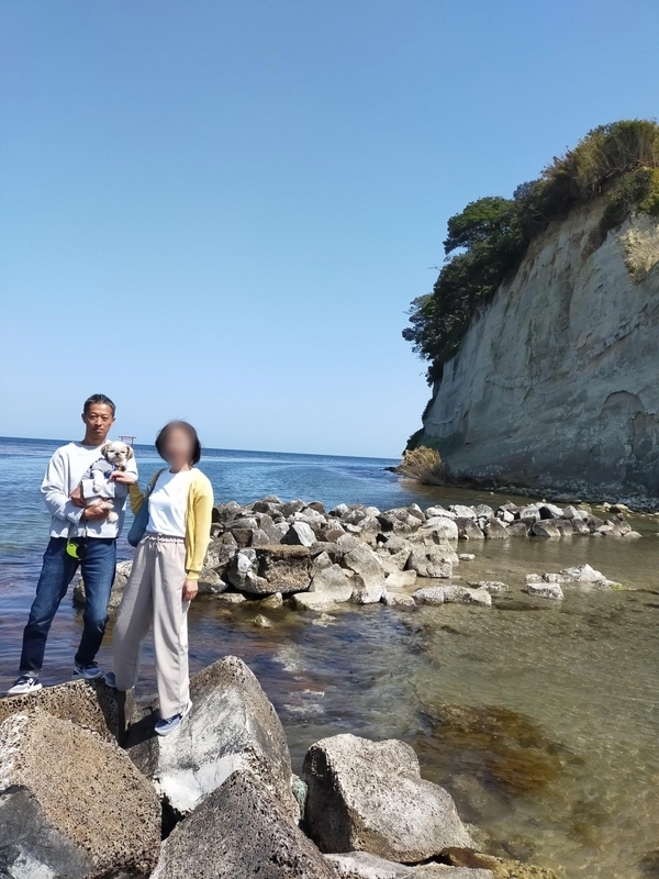 石川県 珠洲市 見附島 軍艦島 ペット可 シーズー 