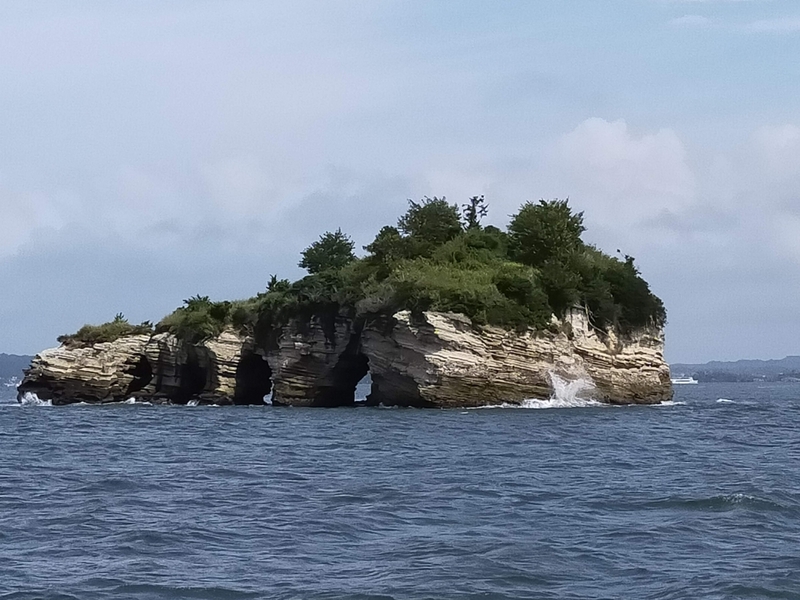 松島 観光 遊覧船 ペット シーズー 