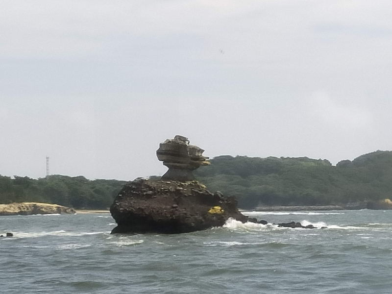 松島 観光 遊覧船 ペット シーズー 