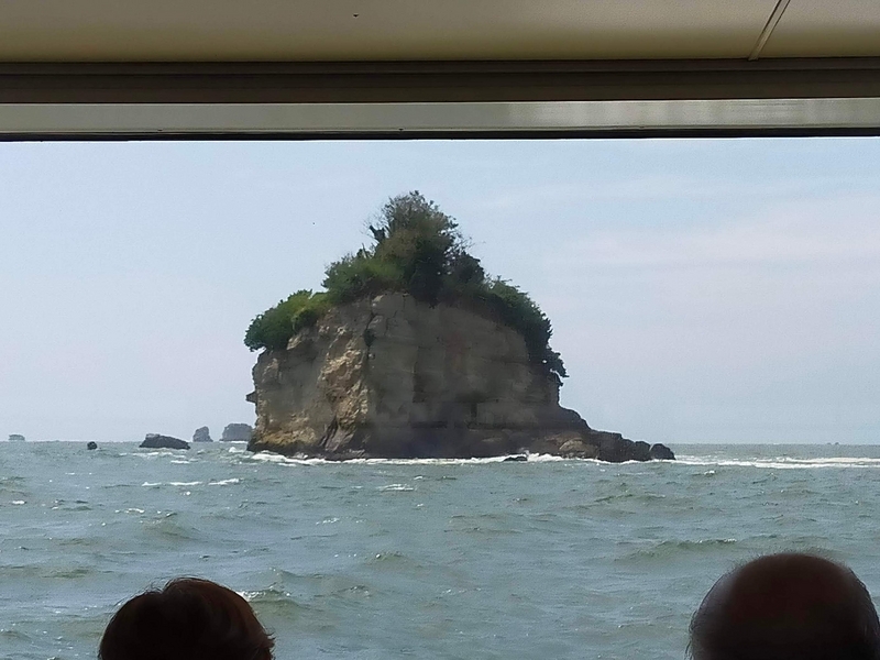 松島 観光 遊覧船 ペット シーズー 