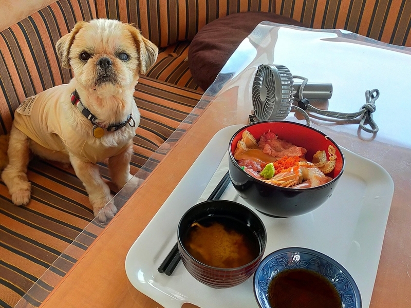 塩竈市 千賀の浦市場 海鮮丼 