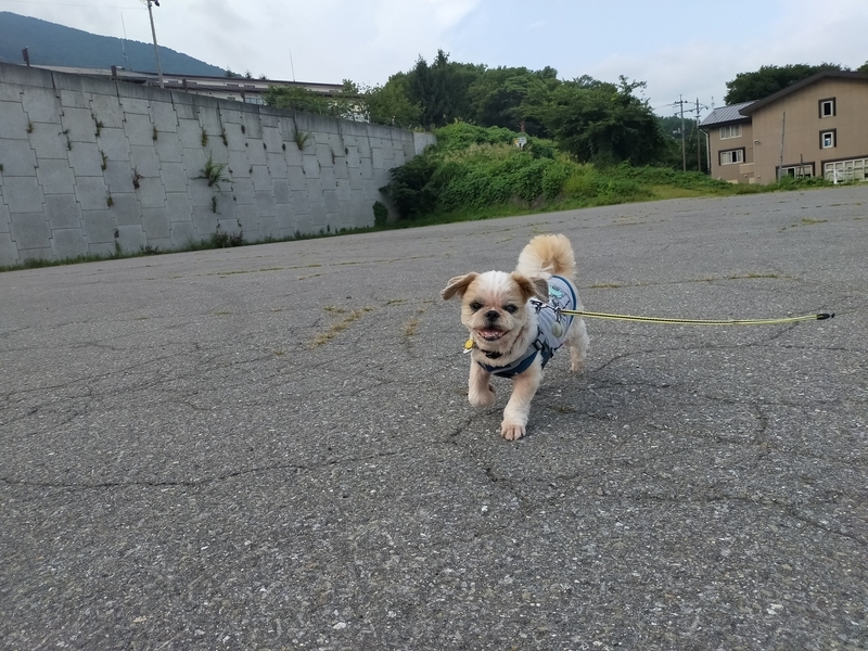 福島県 くるま旅クラブ RVパーク 磐梯山・絶景の猪苗代スキー場RVパーク キャンピングトレーラー 車中泊 猪苗代湖 猪苗代 