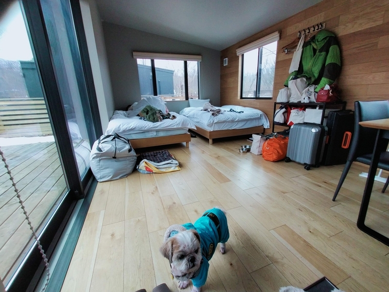 旅行 犬連れ旅行 エンゼルフォレスト白川高原 サウナグランピングキャビン プライベートサウナ シーズー 