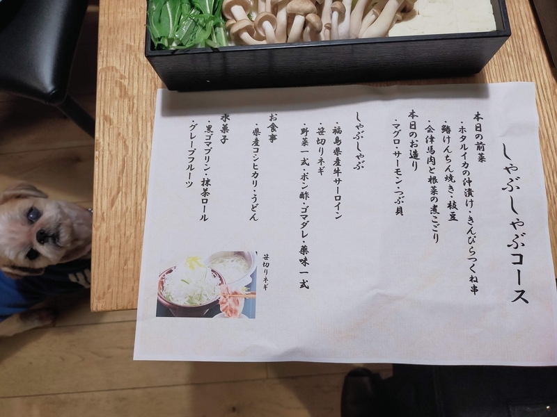 旅行 犬連れ旅行 エンゼルフォレスト白川高原 サウナグランピングキャビン プライベートサウナ シーズー 