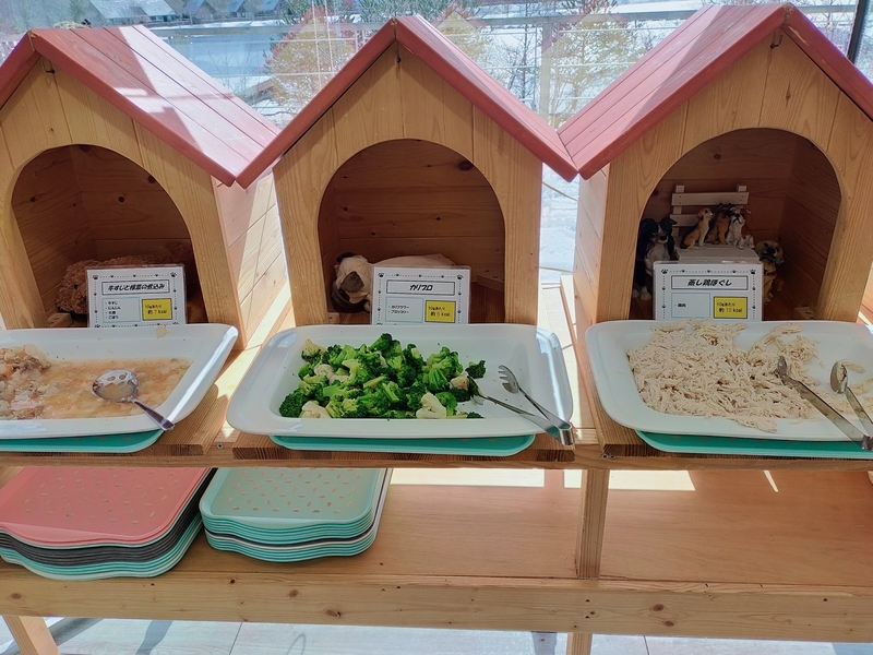 旅行 犬連れ旅行 エンゼルフォレスト白川高原 サウナグランピングキャビン プライベートサウナ シーズー 