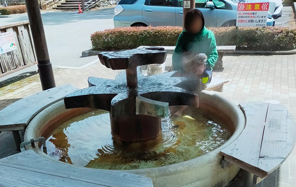 栃木県 塩原温泉 とて焼き 湯っ歩の里 温泉水餃子 