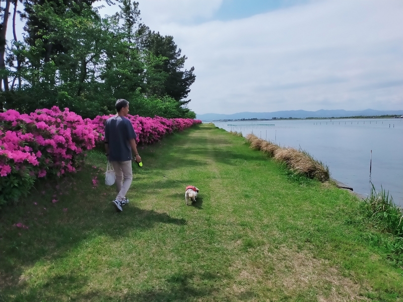 浜松市 浜名湖 渚園 キャンプ シーズー キャンピングトレーラー 