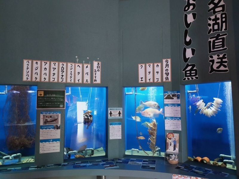 浜松市 浜名湖 渚園 キャンプ シーズー キャンピングトレーラー 