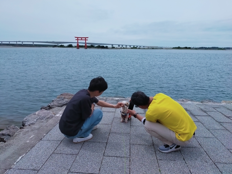 浜松市 浜名湖 弁天島 赤鳥居 弁天島プリン シーズー