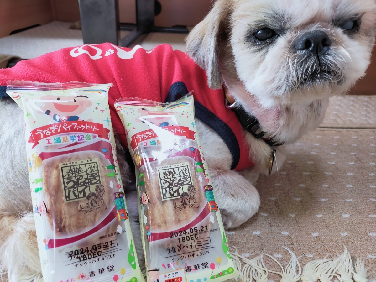 浜松市 シーズー うなぎパイ うなぎパイファクトリー