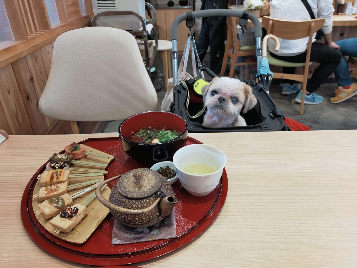 犬山市 犬山城下町 本町通り 古民家カフェ 本町茶寮 ペットOK シーズー 