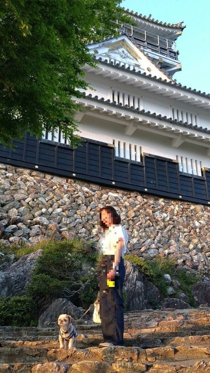 岐阜市 金華山 岐阜城 ぎふ金華山ロープウェー 岐阜城パノラマ夜景 ペットOK ケージ必須 シーズー