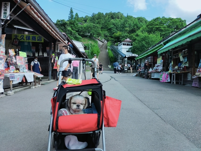 福島県 会津若松市 さざえ堂 飯盛山 円通三匝堂 2重螺旋 国指定重要文化財 シーズー 