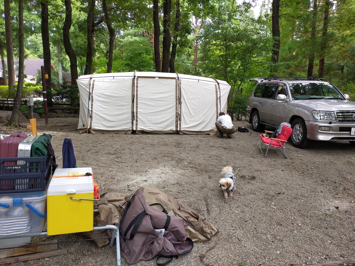 キャンプ ogawa アポロンtc キャンプアンドキャビンズ那須高原 御用邸チーズケーキ アウトドアチーズケーキ シーズー 