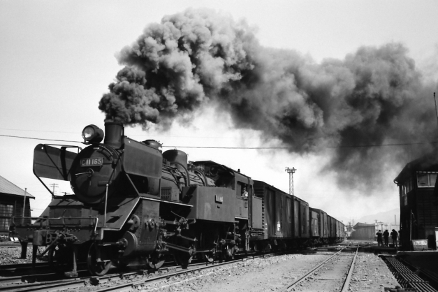 T019-3 国鉄 C11 蒸気機関車 165号機タイプ(門鉄デフ) 580030ac03e534a5ea1da0514759a7