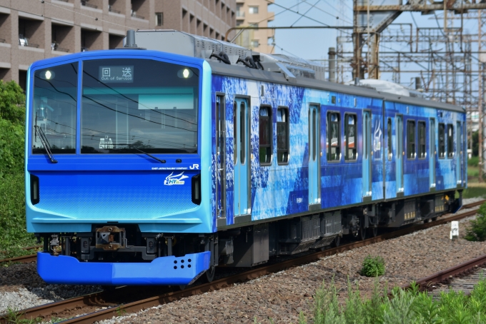 EV-E301バラ一編成 革新的：ev301系の電車が満を持してフル編成で鉄コレで登場