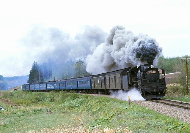 C58機関車 雪の峠 鉄道写真 蒸気機関車c58が担当した急行大雪と変遷の記録。 - 本棚の住人の