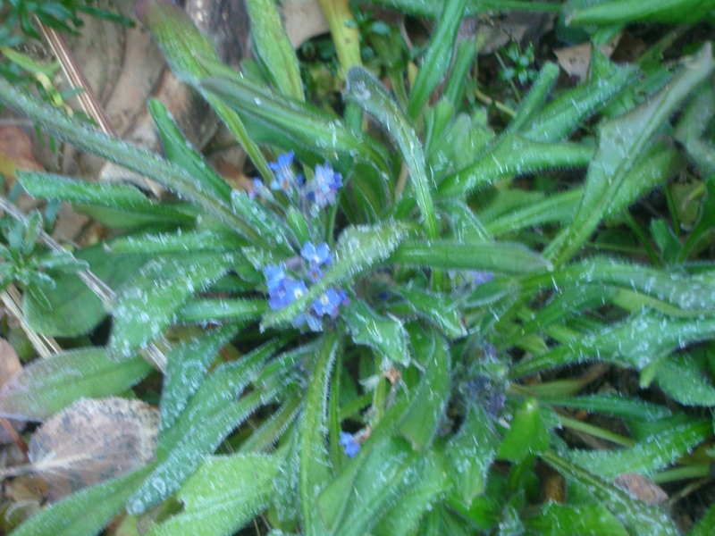 f:id:leoleoleoya:20131229080646j:image:w360