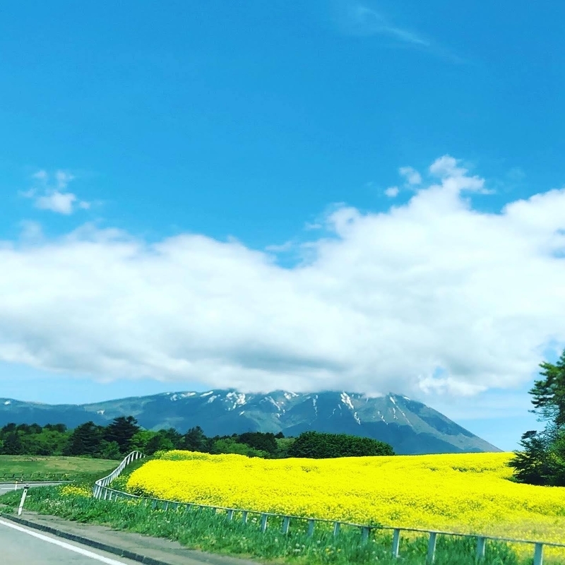 f:id:leomil:20210518195456j:plain