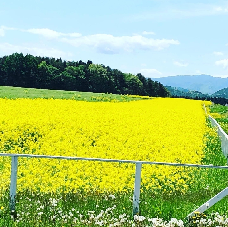 f:id:leomil:20210518195612j:plain
