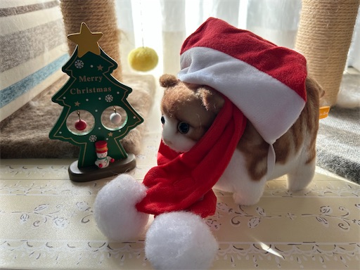 f:id:leomio:20241211215040j:image