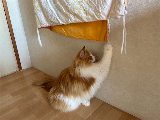 f:id:leomio:20250605172424j:image
